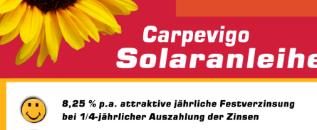 website-profidis-2 website-profidis-2